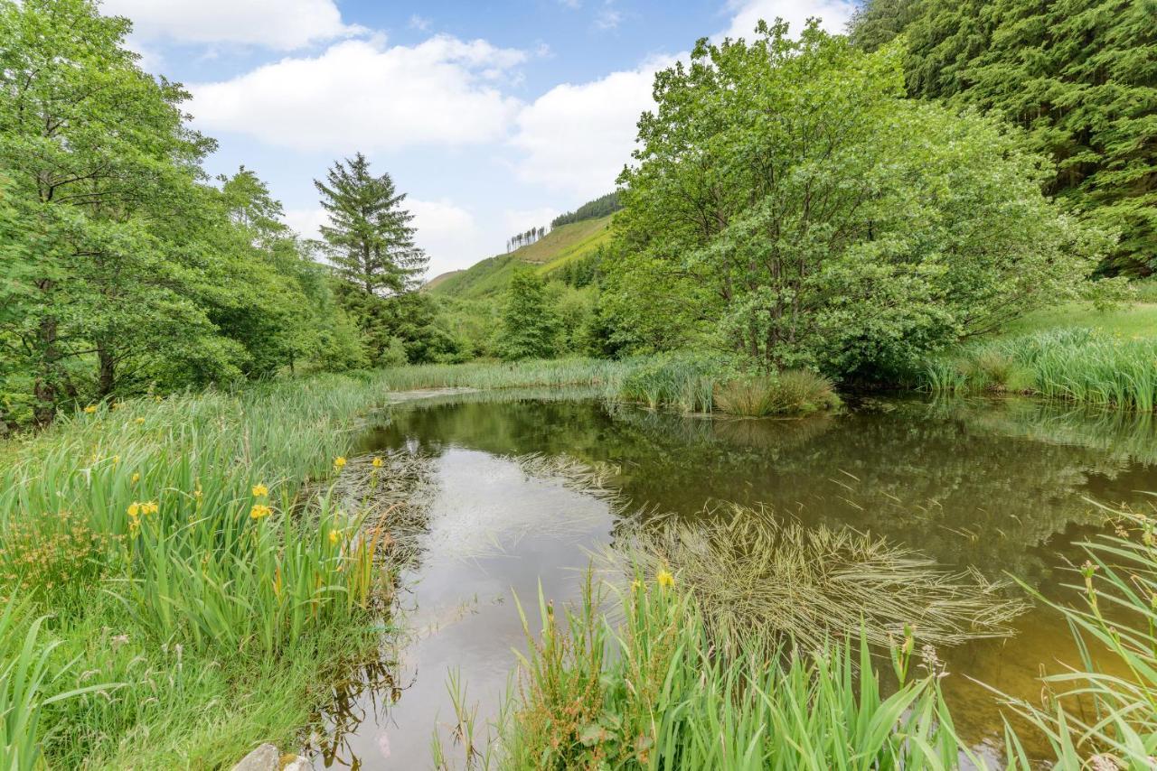 Groes Heol Villa Machynlleth Exteriör bild