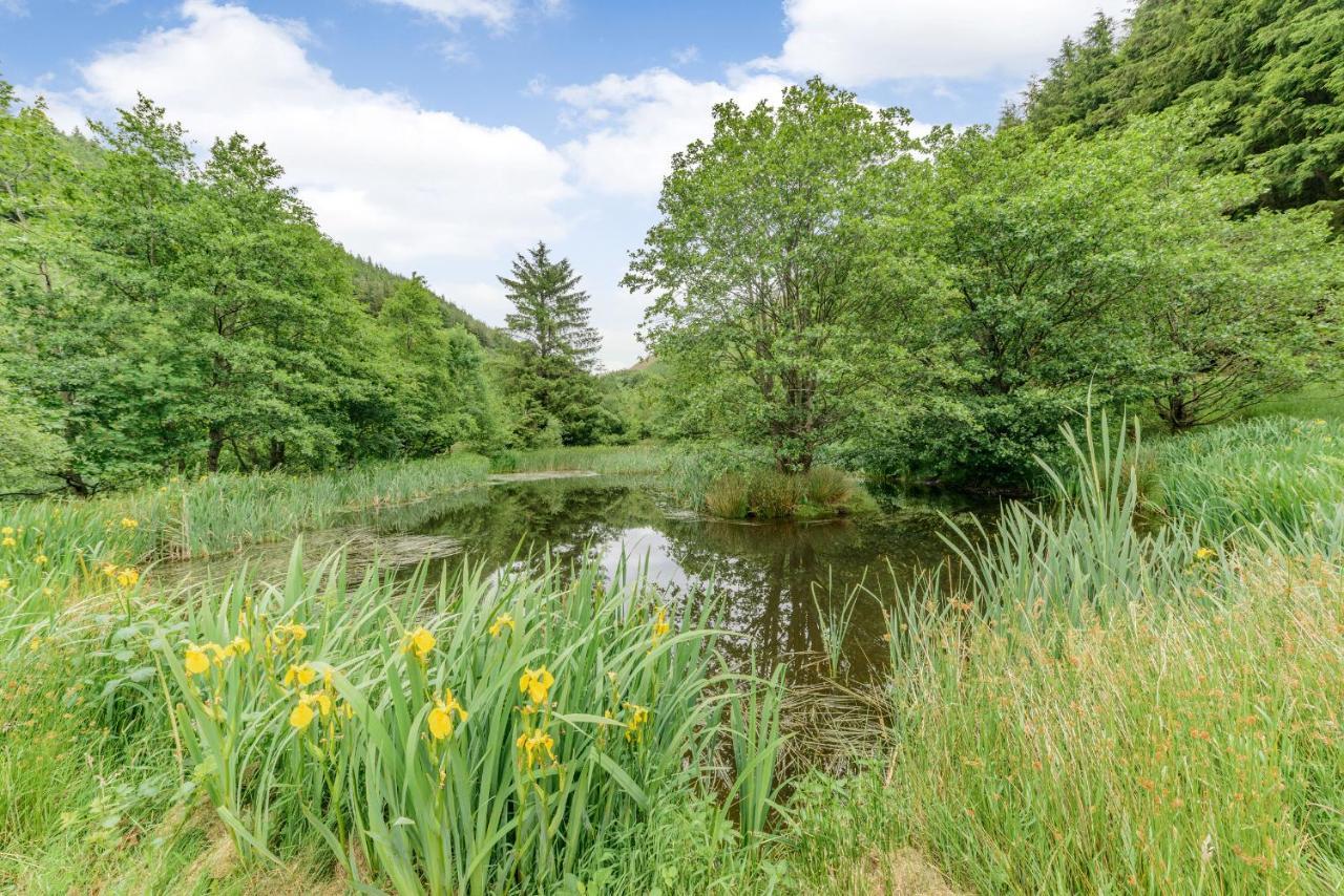 Groes Heol Villa Machynlleth Exteriör bild