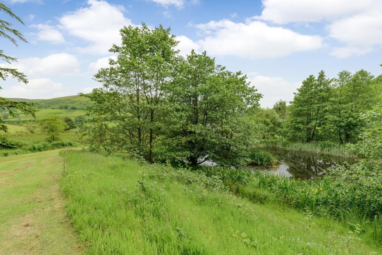 Groes Heol Villa Machynlleth Exteriör bild